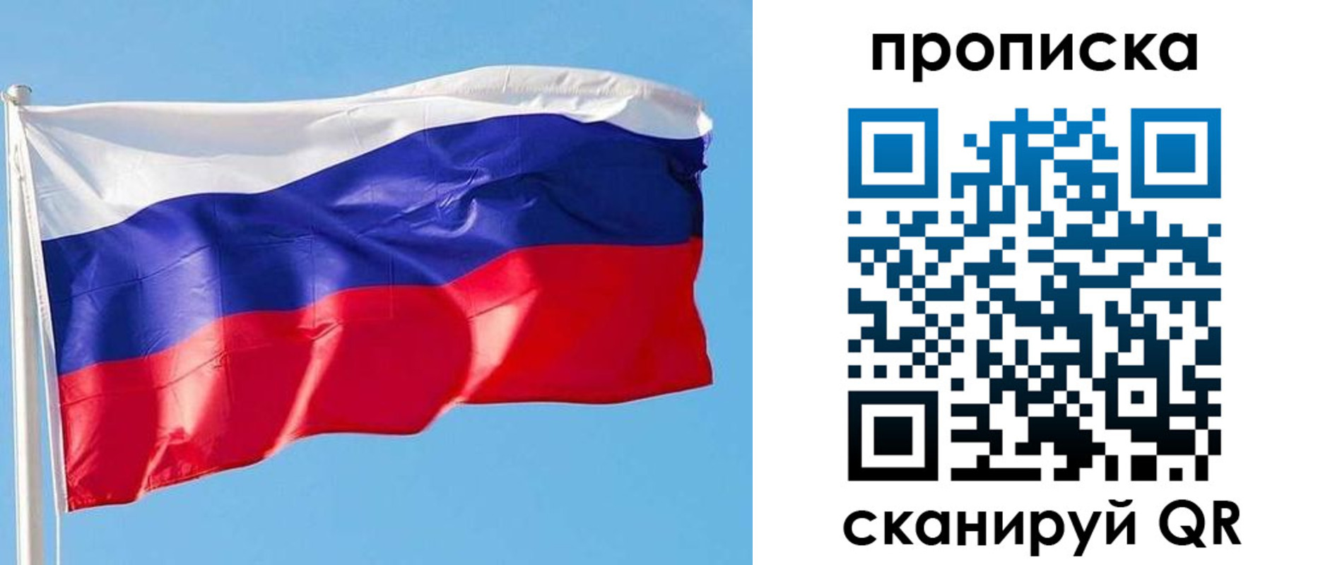 прописка поиск в Солнечногорске